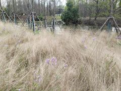 -梁鸿国家湿地公园