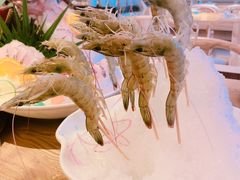 -尚海豆捞(乐虹坊店)