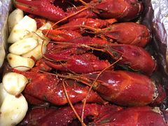 -小田油焖小龙虾(双井店)