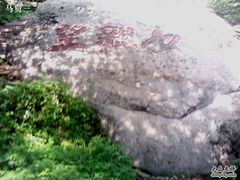-王顺山国家森林公园