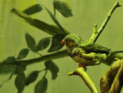 -Zoolung Zoolung动物主题公园(海信广场店)