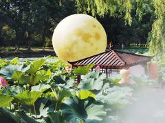 -北陵公园