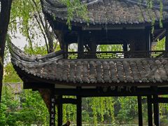 -桂湖森林公园