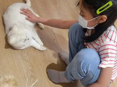 -1013 PET SHOP精品宠物商店(丁香店)