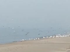 -北戴河东海水浴场