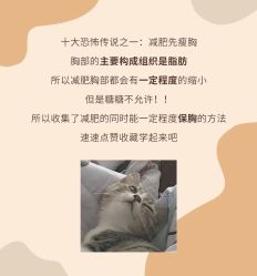 -Fundi张玉珊修身堂·indiba·BTL科技瘦身