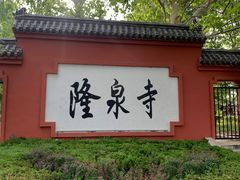 -百脉泉景区