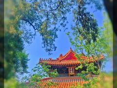 -赵记煎饼卷大葱(东岳店)