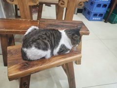 -张庆烤肉·清真