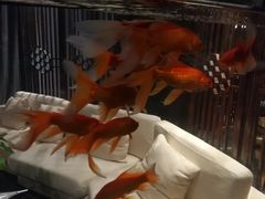 -苏湘会(新港店)