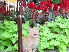 -西园戒幢律寺