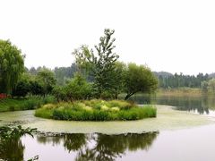 -东郊湿地公园
