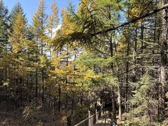 -苏木山森林公园