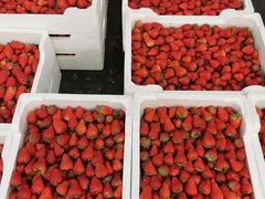 -西郊国际农产品交易中心