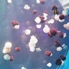 -左海海底世界