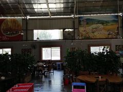-石岐乳鸽村(桥观坊南四巷店)