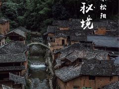 -杨家堂村