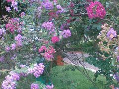 android_upload_pic-万绿园