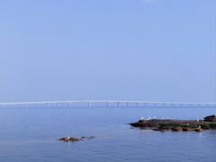 -集美学村