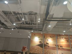 -嘻小北·兰州清汤牛肉面(太平洋森活天地店)