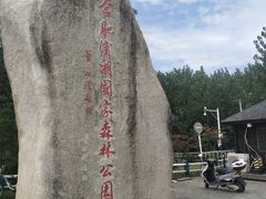 -合肥滨湖国家森林公园