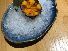 原只刺生海胆-深蓝金枪·深海鱼刺身(吉大店)