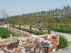 -上海长兴岛郊野公园