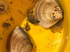 -东戴河风景区-止锚湾