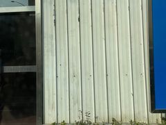 -上海海洋大学鱼文化博物馆(军工路校区)