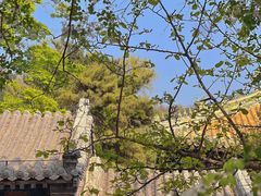 -潭柘寺景区