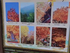 -香山公园