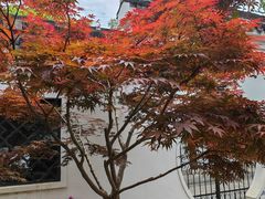 -南山风景名胜区