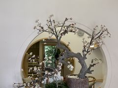 -不凡脑禅境·养生·舒压调理SPA(华发世纪城店)