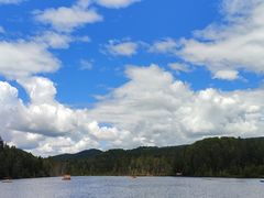 -五营红松林海景区