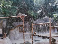 -杭州野生动物世界