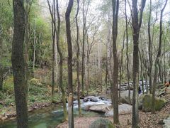 -玉渡山自然风景区