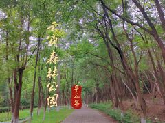 -云岗森林公园