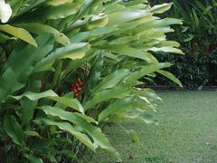 -大象粑粑造纸公园