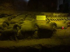 -汉景帝阳陵博物院