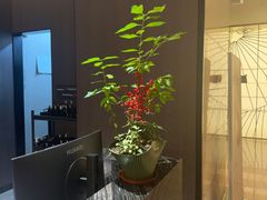 -汤泉良子·沐足·颂钵疗愈·SPA(珠江新城店)