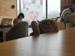 点击看大图 -那茉 Hair Salon