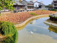 -龙潭水乡