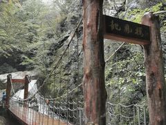 -牛背梁国家森林公园