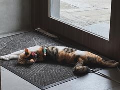 -Again Coffee Roaster(香蜜湖店)