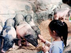 -正佳雨林生态植物园