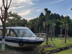 -上海海湾国家森林公园