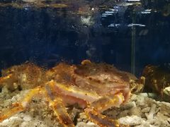 -蚝得喜海鲜(东城店)
