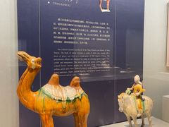 -镇江博物馆