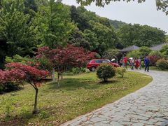 -龙寺生态园
