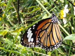 -珠海海泉湾神秘岛亲子乐园